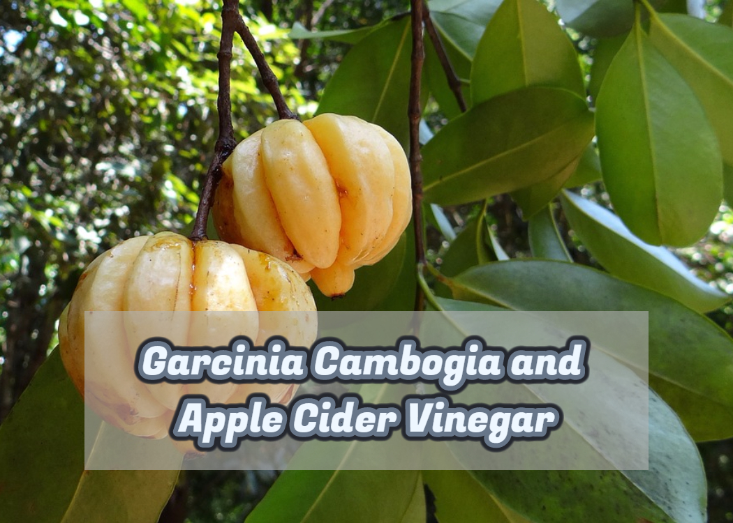 Garcinia Cambogia and Apple Cider Vinegar Dr Oz
